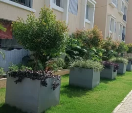 Projects img 20250522 wa0038