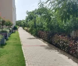 Projects img 20250522 wa0040