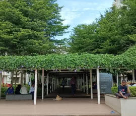 Projects img 20260201 wa0088