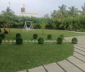 Projects img 20260201 wa0141