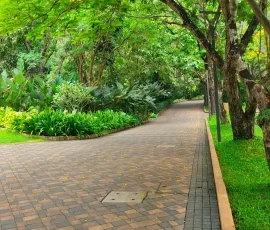 Projects img 20260219 wa0021