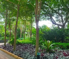 Projects img 20260219 wa0022